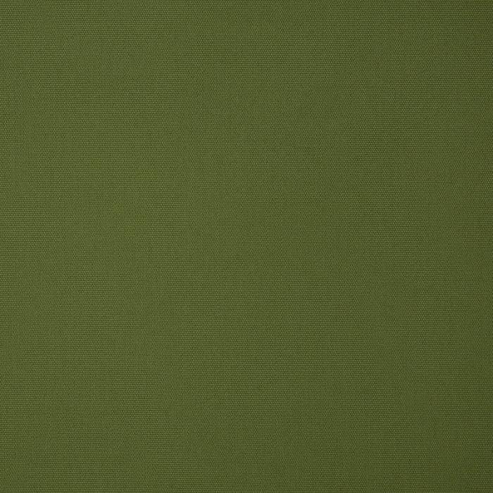 Canvas Palm