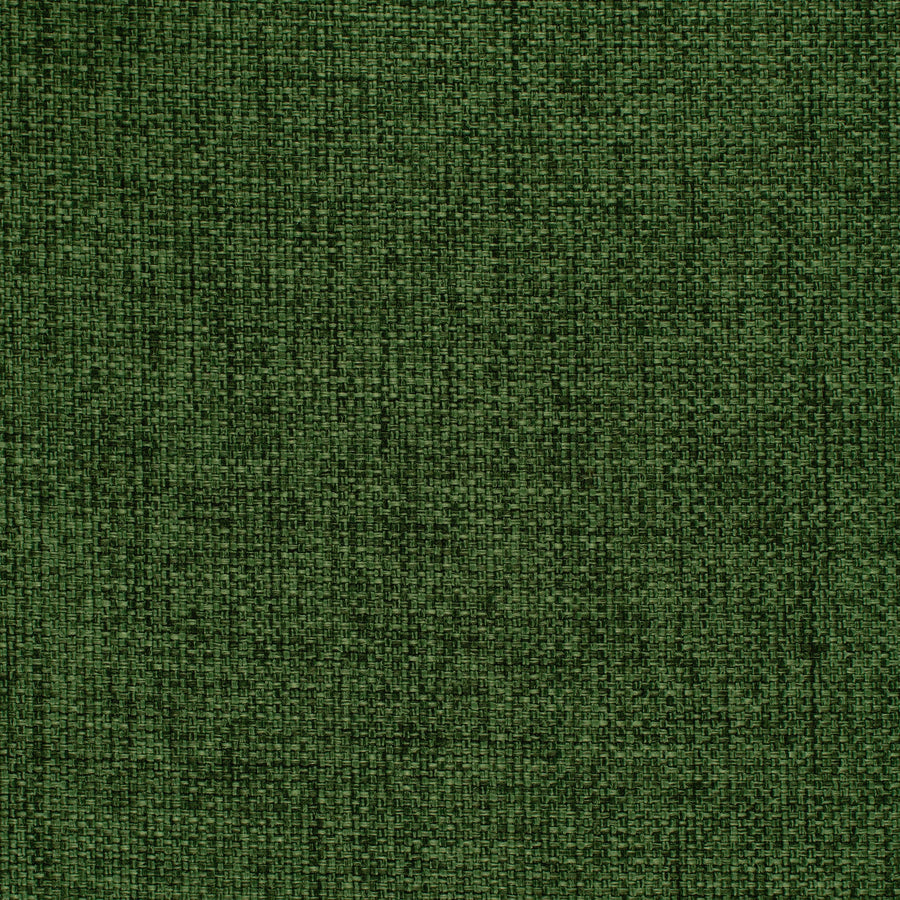 Champlain Clover