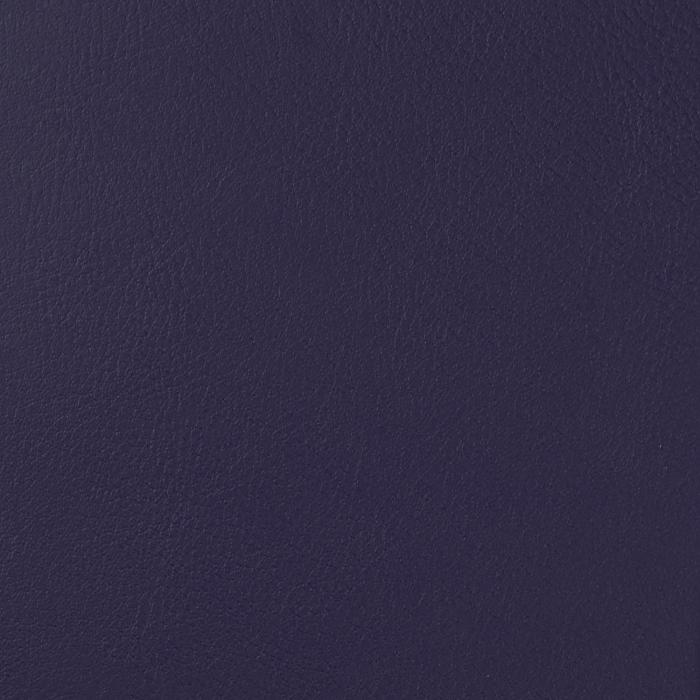Verve Verbena