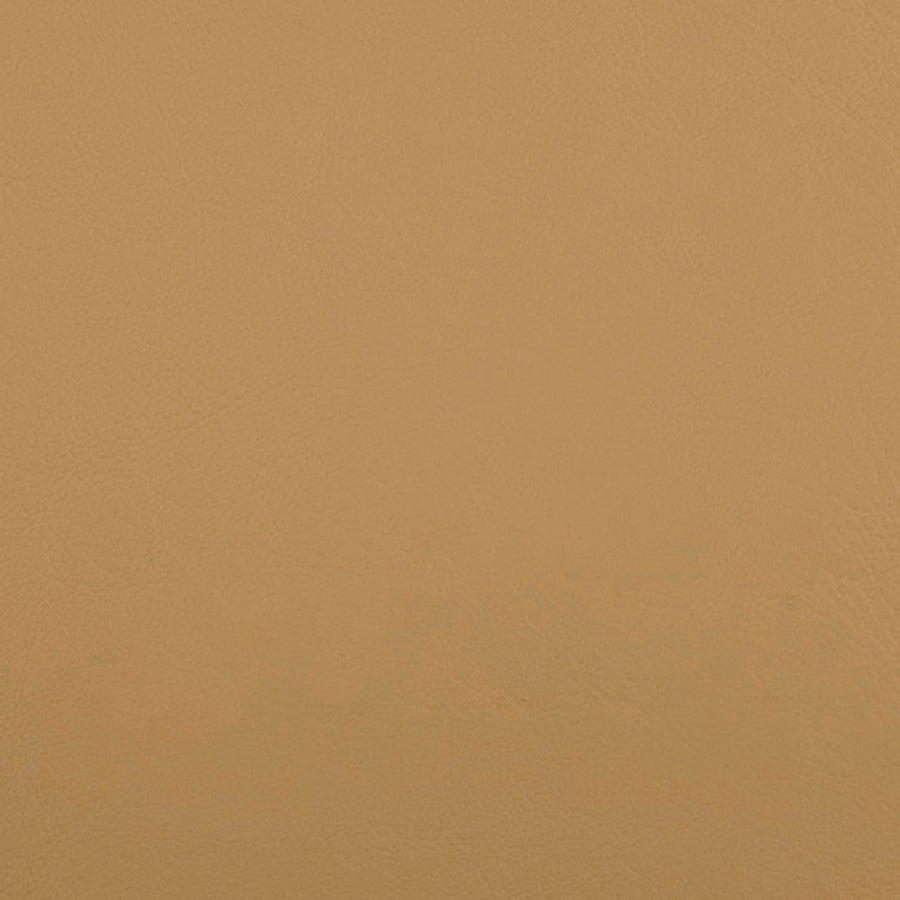 Zander Dune