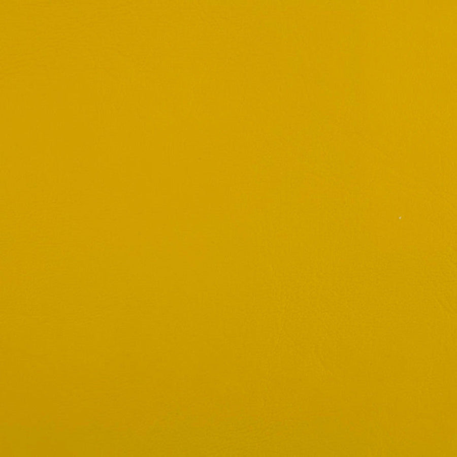 Zander Yellow