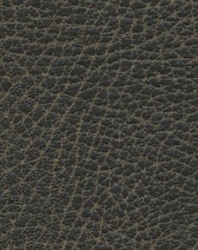 Brisa Distressed Steerhide