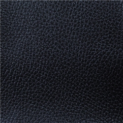 Aspen Black Advantage Xtreme