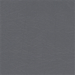 Aries Gunmetal