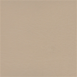 Aries Sand Dollar