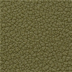 Ceres Oasis