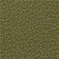 Ceres Oasis