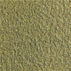 Biscuit 80 Cutpile Nylo N Carpet Backed El Dorado - Auto