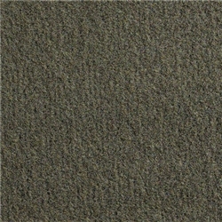 Med Mocha 80 Cutpile Ny Lon Carpet Backed El Dorado - Auto