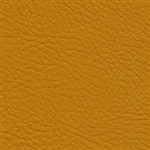 Verve Turmeric