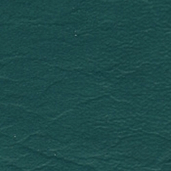Expressions Aqua Teal