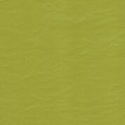 EZ Wallaby Lime