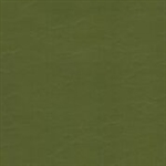 EZ Wallaby Olive