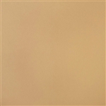 Sunbrella Horizon Capriccio Toast