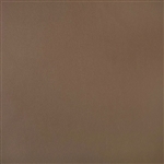 Sunbrella Horizon Capriccio Mink