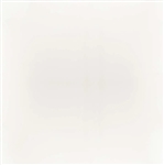 Sunbrella Horizon Capriccio Dover White