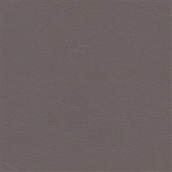 Navigator Soft Dolphin