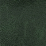 Outlaw Spruce