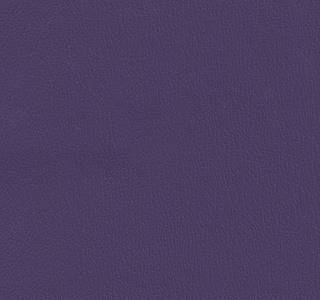 Olympus Deep Violet