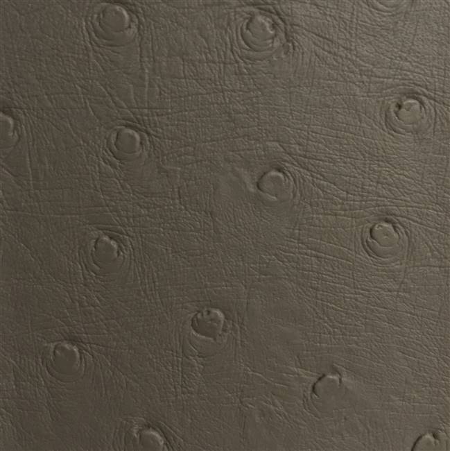 Ostrich Grey