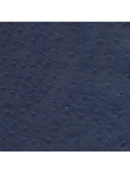 Perth Blue