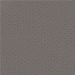 Polaris Gunmetal