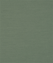 Kimono Agave