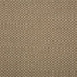 Action Taupe