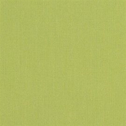 Spectrum Kiwi