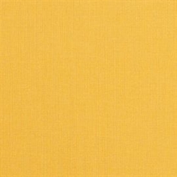 Spectrum Daffodil