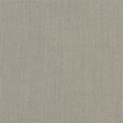 Spectrum Dove