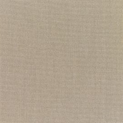 Canvas Taupe