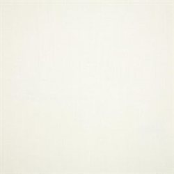 Canvas White