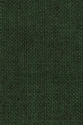 Byrne Pine Needle