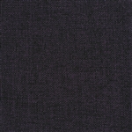 Champlain Dewberry