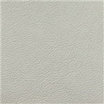 Timeless Arctic White