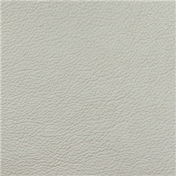 Timeless Arctic White