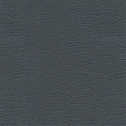 Pearlized Midnight