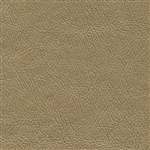 Pearlized Mica