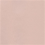Pro Blush