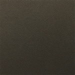 Tolstoy Timber