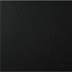 Wyatt Promo Black Rogue
